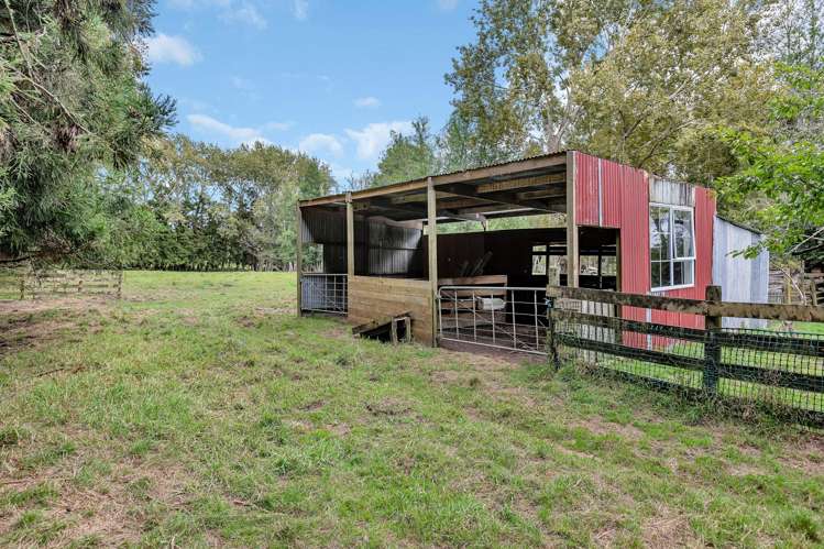 1344 State Highway 1 Hikurangi_27