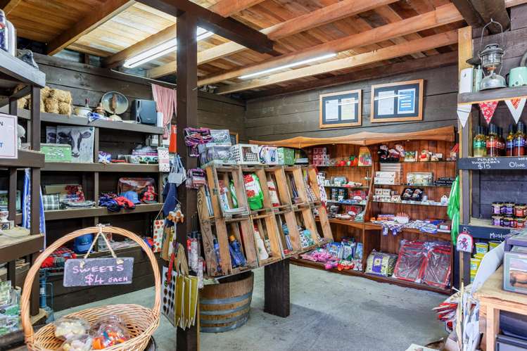 505 State Highway 2 Opaki_10