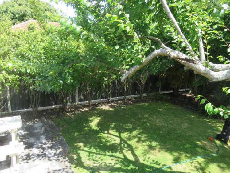 7A Steele Road 1066_4