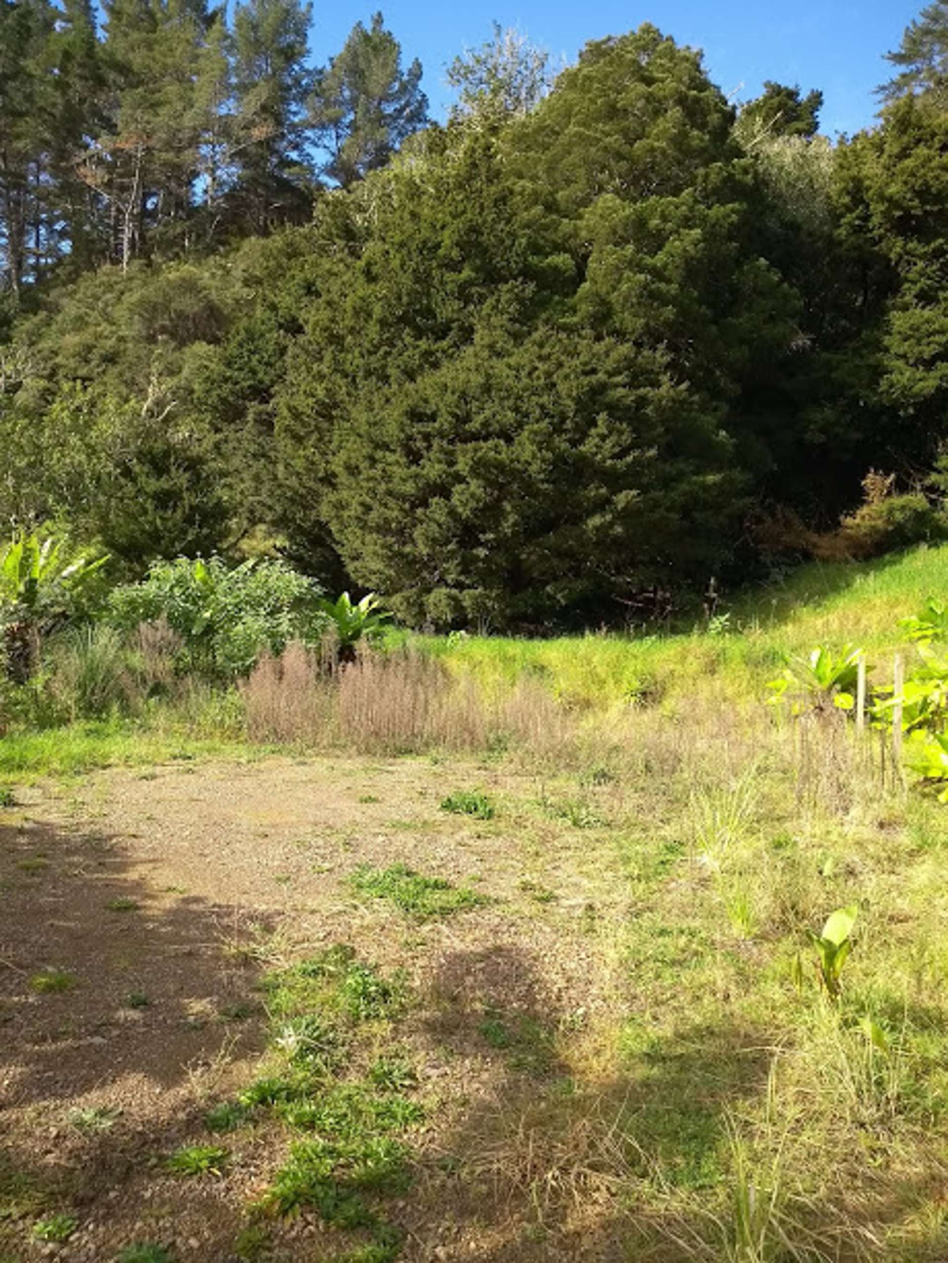 1708 Russell Road Hukerenui and Surrounds Whangārei Houses for