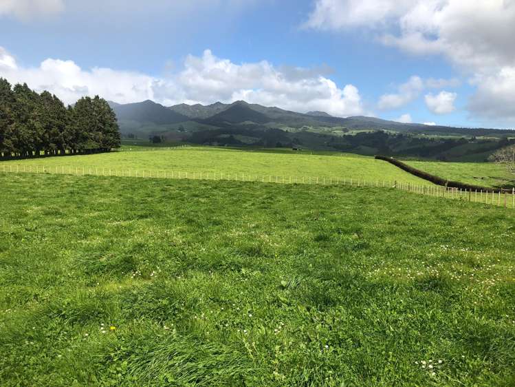 88 Strong Road Te Pahu_0