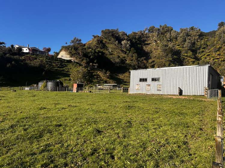 1724 State Highway 3 Uruti_16