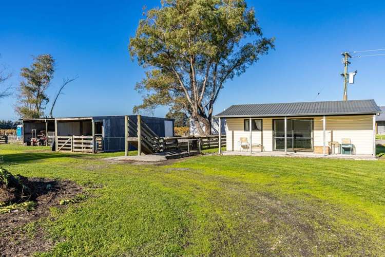 2d Ferry Road Spring Creek_7