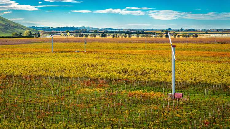 State Highway 50 Roys Hill_1