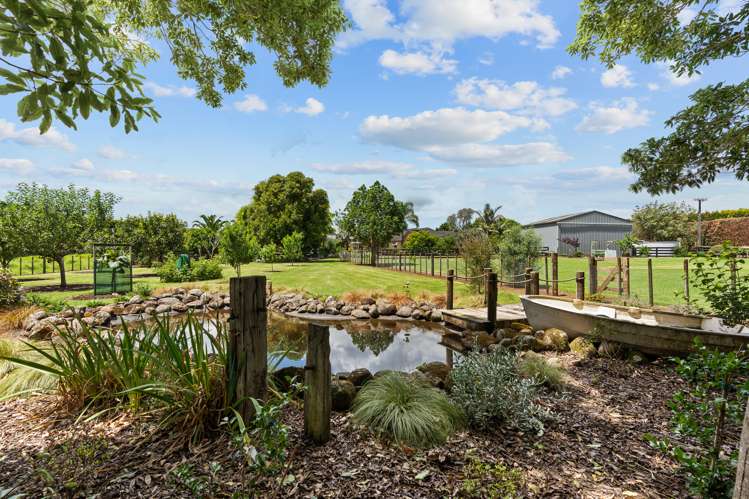 593 Ngunguru Road Glenbervie_24