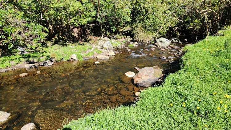 Lot 1,2,3/699 Durham Road Upper Norfolk_15