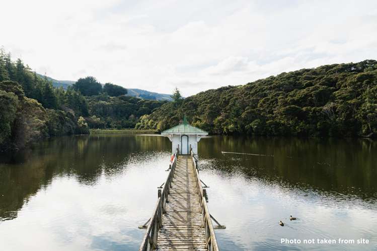 135 Shetland Street Wakari_18