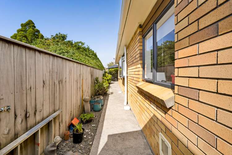 35a Tukapa Street Westown_17
