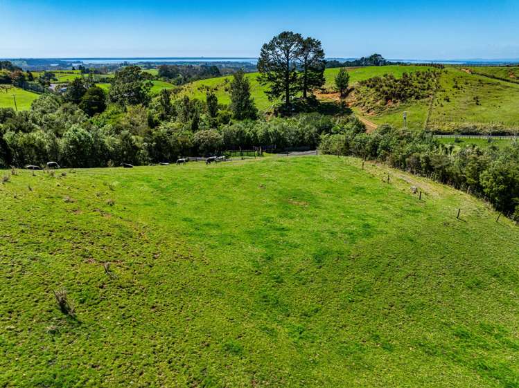 383 Busby Road Katikati_20