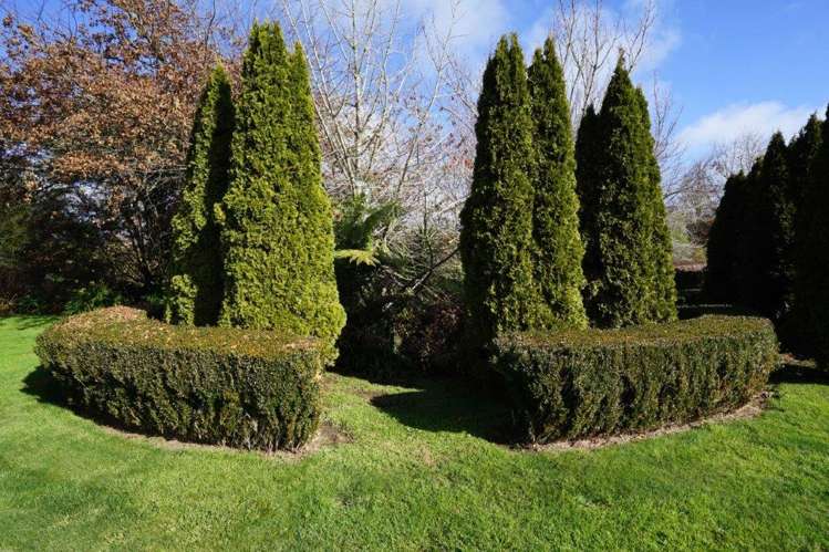 180 Crawford Road Te Kowhai_28