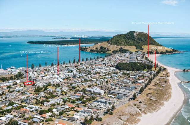 1/4 Oceanview Road Mount Maunganui_1