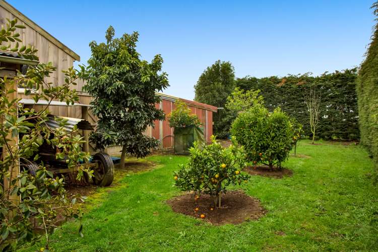 384 Fraser Road Normanby_15