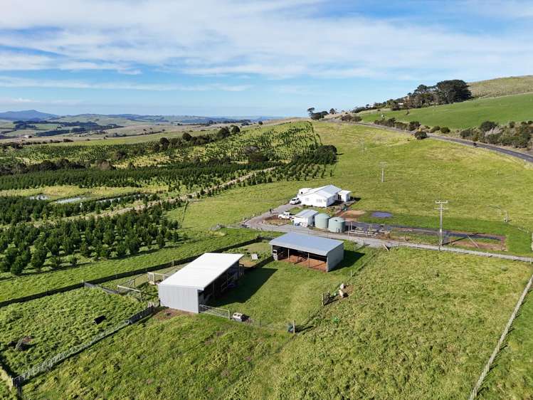 4478 State Highway 12 Dargaville_4