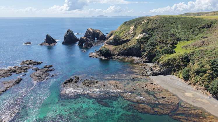 1811 Rangihoua Road_4