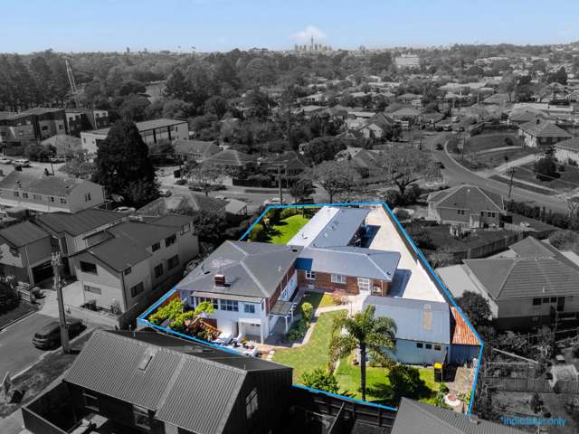 4 Rawalpindi Street Mt Albert_3