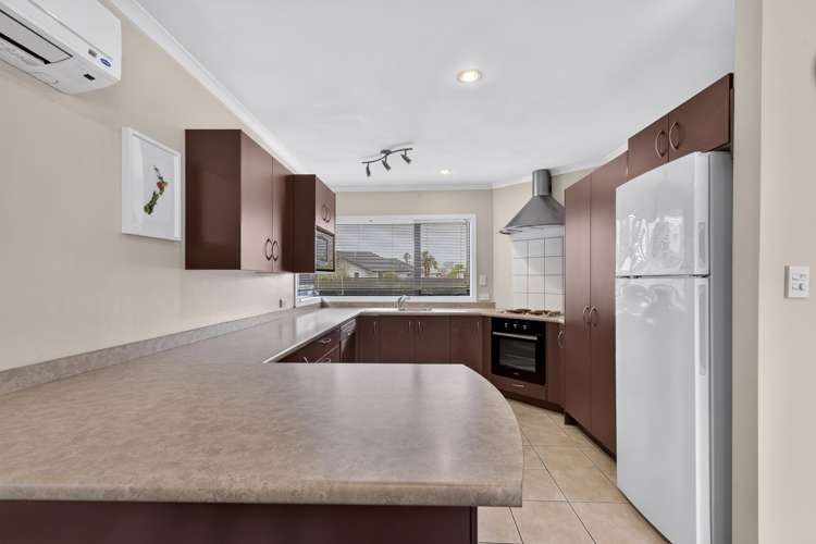 506 Princes Street Parkvale_3