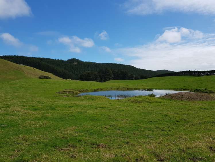 4969 Pouto Road Pouto_8