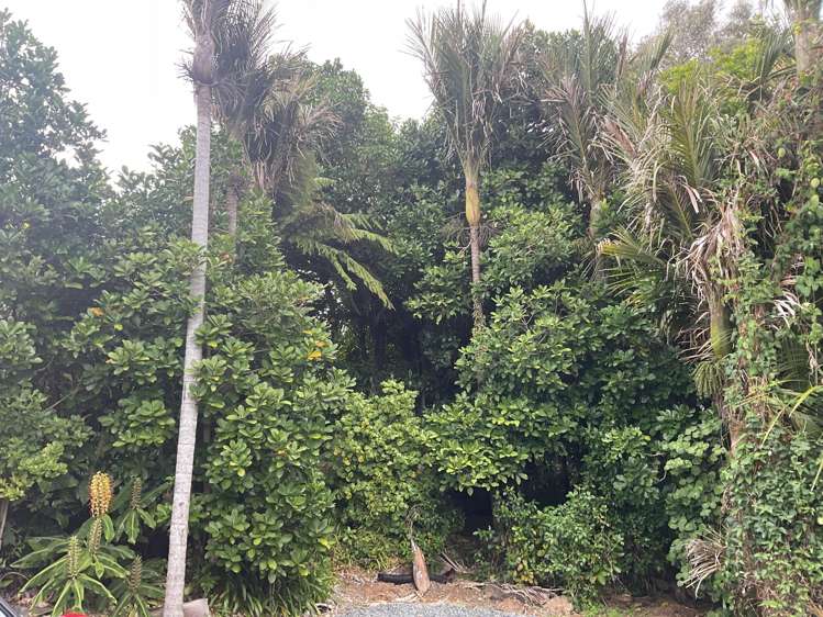 200 Ti Point Road Leigh_28