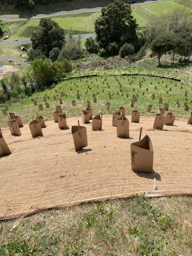 21 Skylark Rise Todds Valley_18