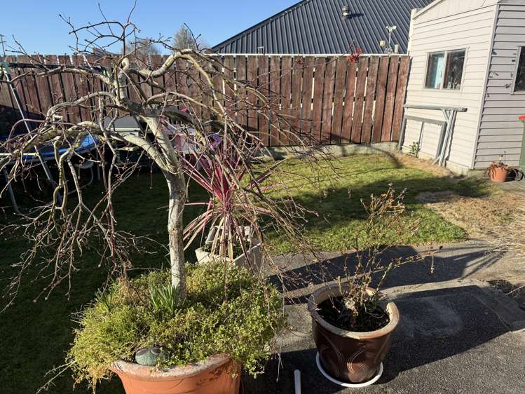 116 Clyde Street Balclutha_6