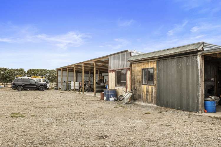 439 Johns Road Fernside_19