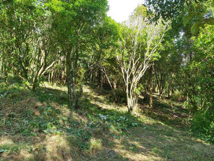 268b Stratton Street Normandale_8