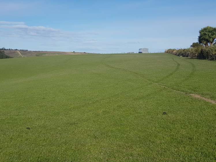 Hillend Road Balclutha_1