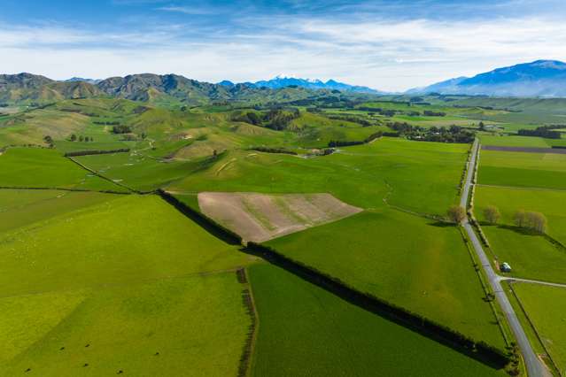 Marama Road Seddon_1