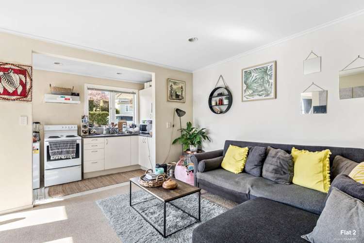 137 Crummer Road Grey Lynn_9