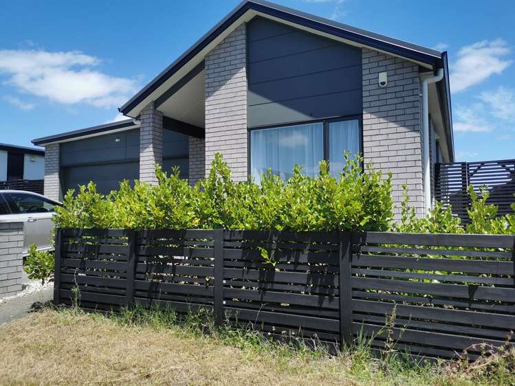 36 Trewern Avenue Chartwell_11