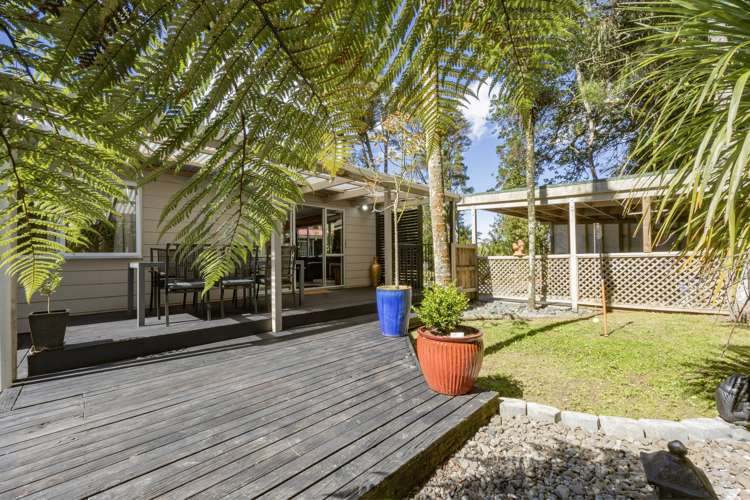 8 Ngaio Road Titirangi_11