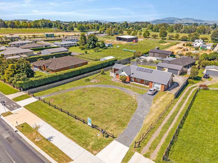 47B Oliver Street Kihikihi_11