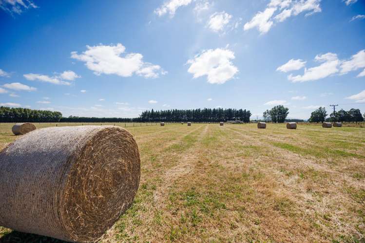 571 Kairanga Bunnythorpe Road Milson_18