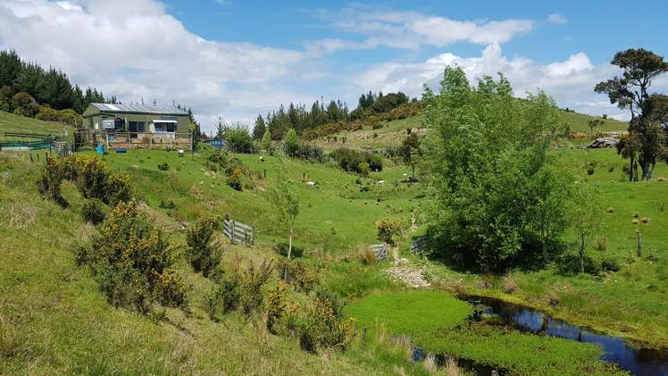 29a Reg Cox Drive Hokitika_8