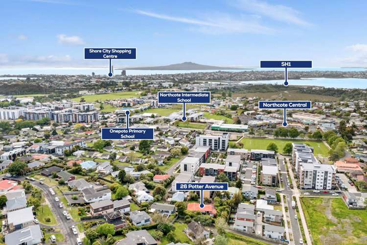 26 Potter Avenue Northcote_12