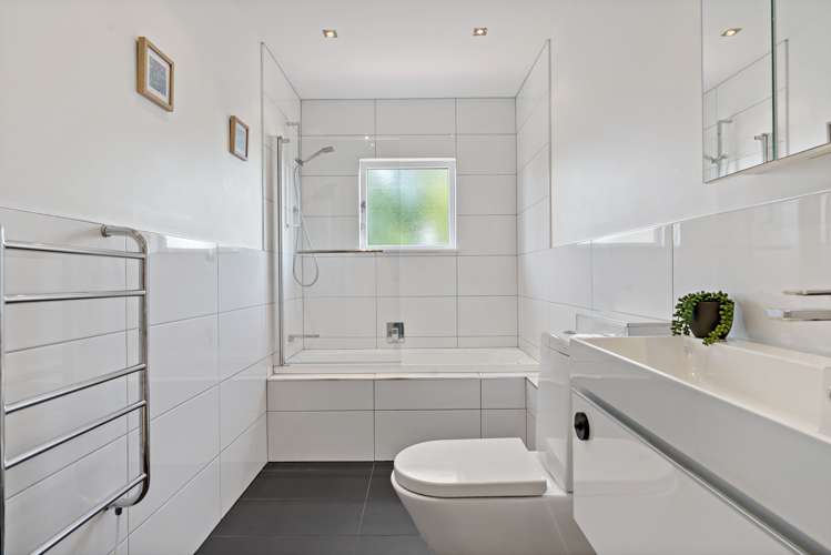 233 Campbell Road Greenlane_14