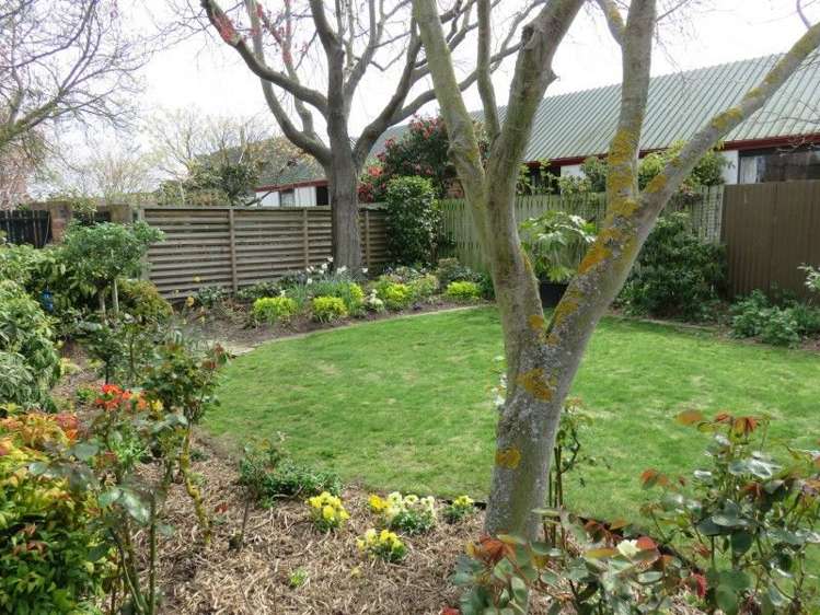 14 Churchill Avenue Allenton_6