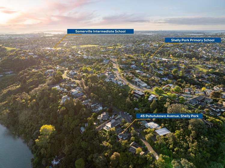 45 Pohutukawa Avenue Shelly Park_27