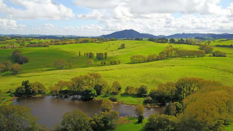 Kaiwaka-Mangawhai Road Kaiwaka_13