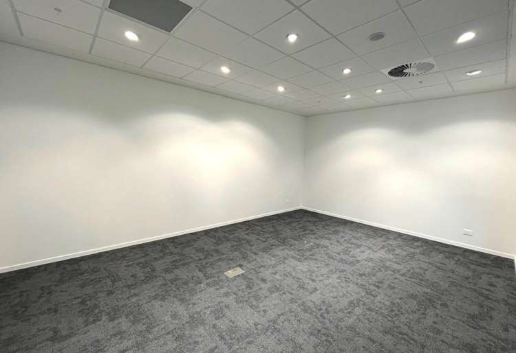 110 Carlton Gore Road Newmarket_10