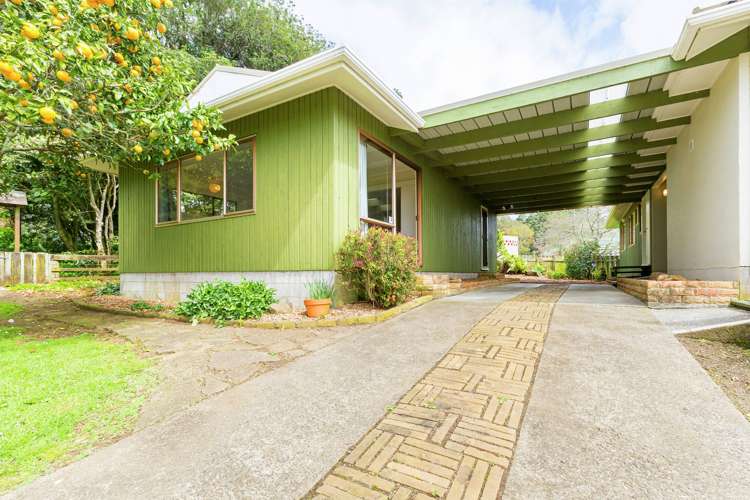 17 Shipherd Road Puni_15