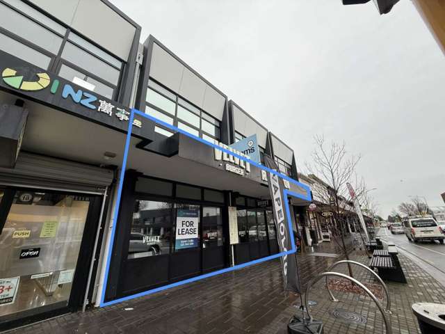 111 Riccarton Road Riccarton_1