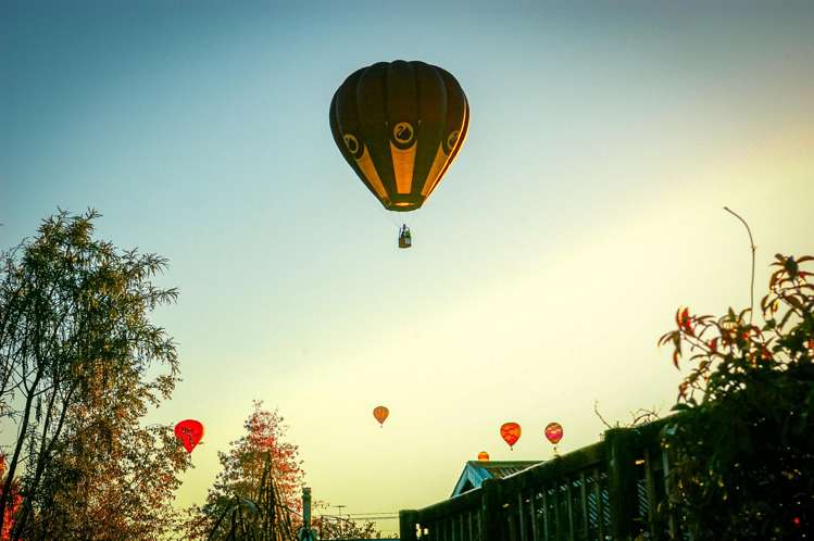 29 Philip Street Carterton_21