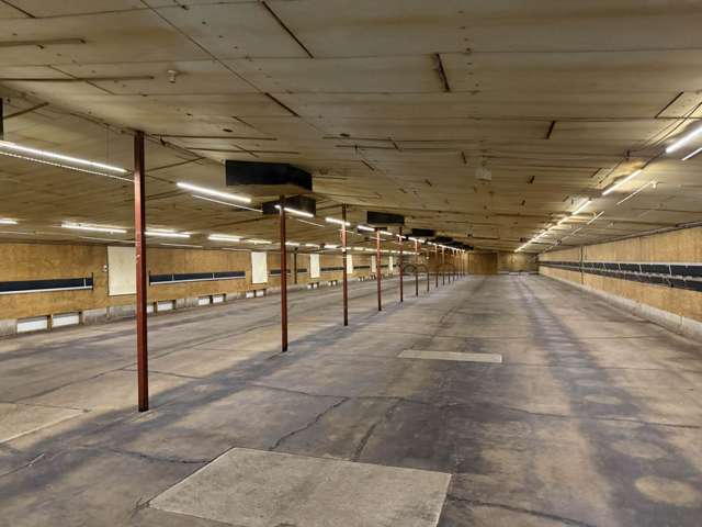 153 Trigg Road Kumeu_1