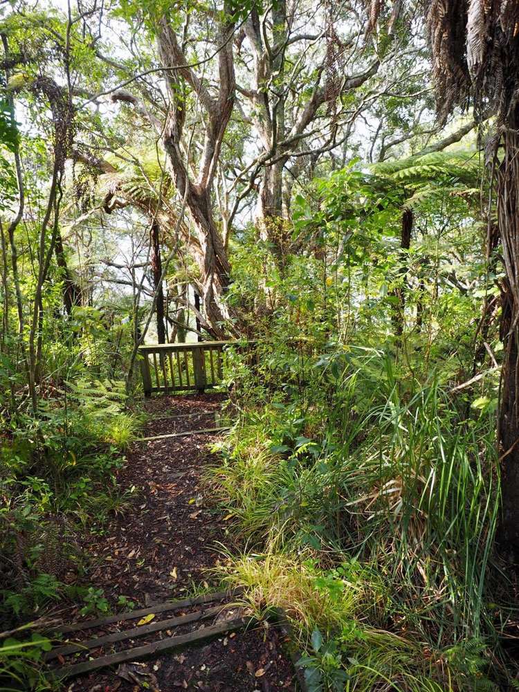 203 Howard Road Orere Point_20