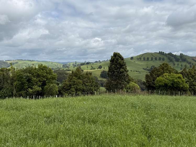 Taotaoroa Road Karapiro_7