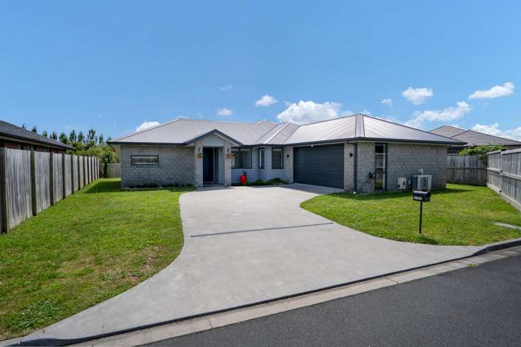 16C Kereruu Street_0