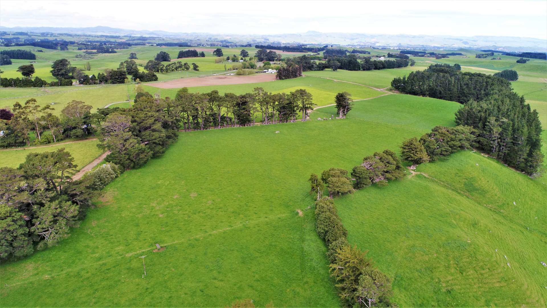 222 Armstrong Road Dannevirke_0