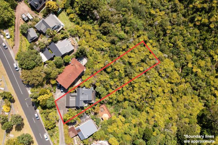 40 Goodall Street Hillsborough_19