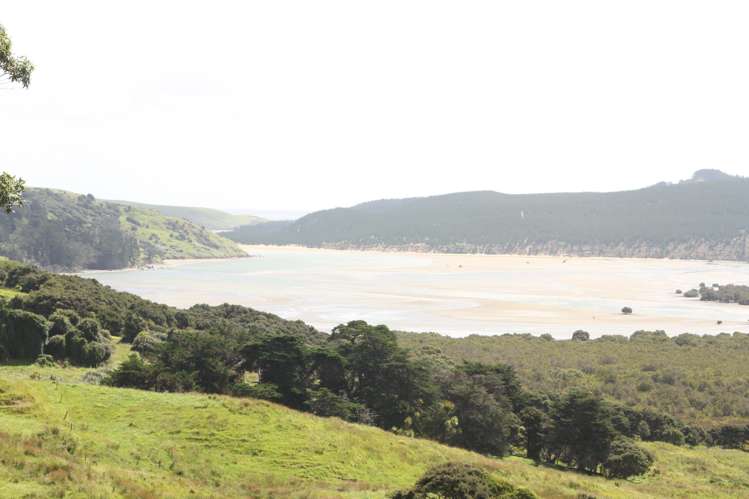 Puhata Road Herekino_24